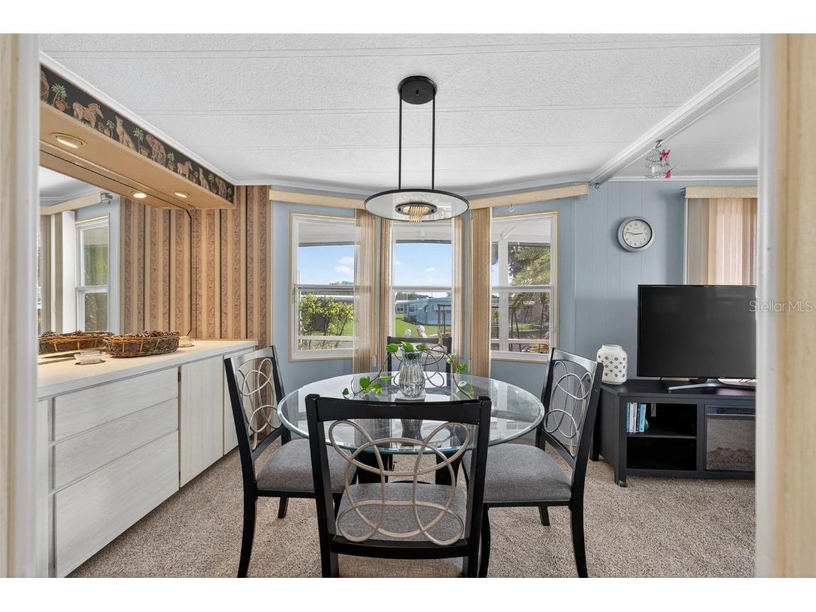 1004 Todd Way Tavares FL 32778 - HARRIS CHAIN OF LAKES G5102376 image12