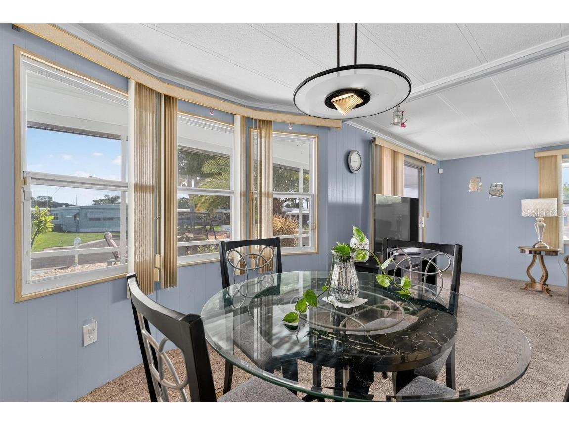 1004 Todd Way Tavares FL 32778 - HARRIS CHAIN OF LAKES G5102376 image13