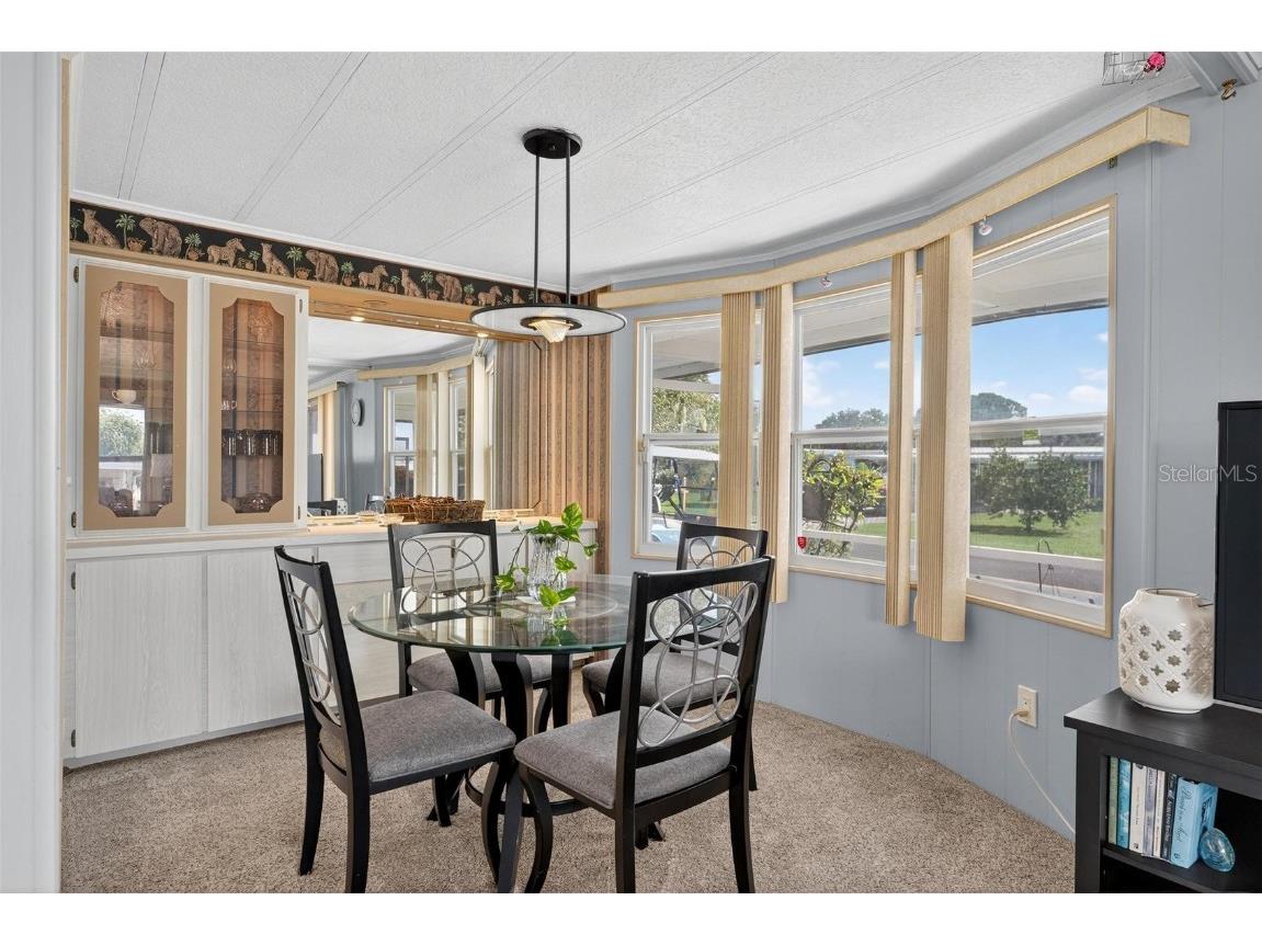 1004 Todd Way Tavares FL 32778 - HARRIS CHAIN OF LAKES G5102376 image14