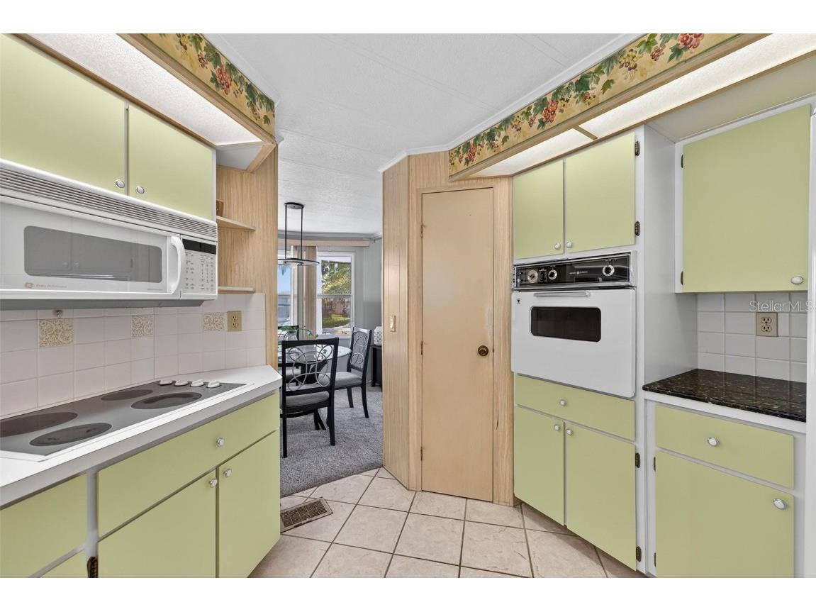 1004 Todd Way Tavares FL 32778 - HARRIS CHAIN OF LAKES G5102376 image23