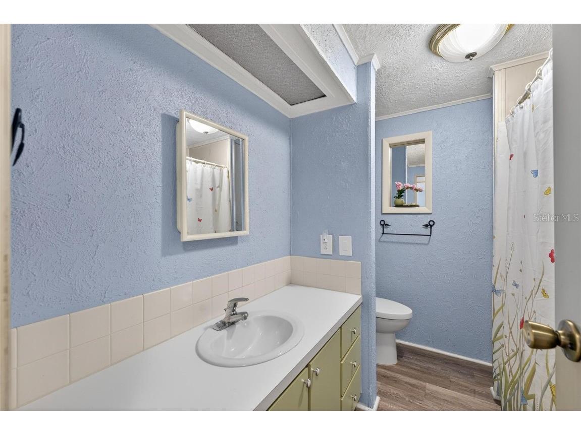 1004 Todd Way Tavares FL 32778 - HARRIS CHAIN OF LAKES G5102376 image33