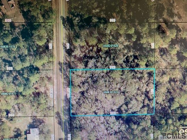 10040 Light Avenue Hastings FL 32145 FC274273 image2