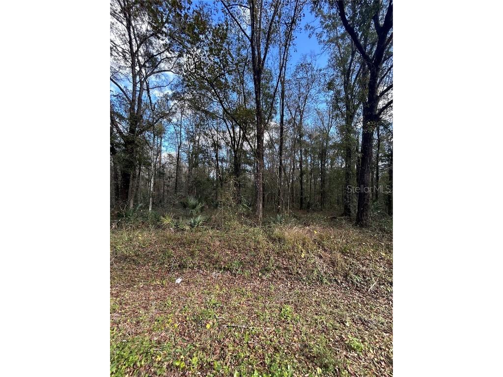 10040 Mcmahon Avenue Hastings FL 32145 FC314839 image11
