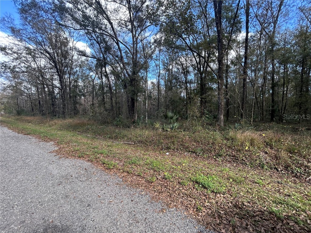 10040 Mcmahon Avenue Hastings FL 32145 FC314839 image2