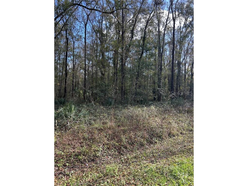 10040 Mcmahon Avenue Hastings FL 32145 FC314839 image3