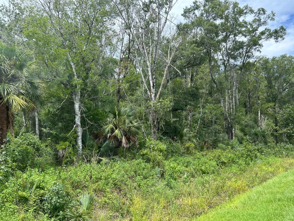 10040 Mcmahon Avenue Hastings FL 32145 FC314839 image4