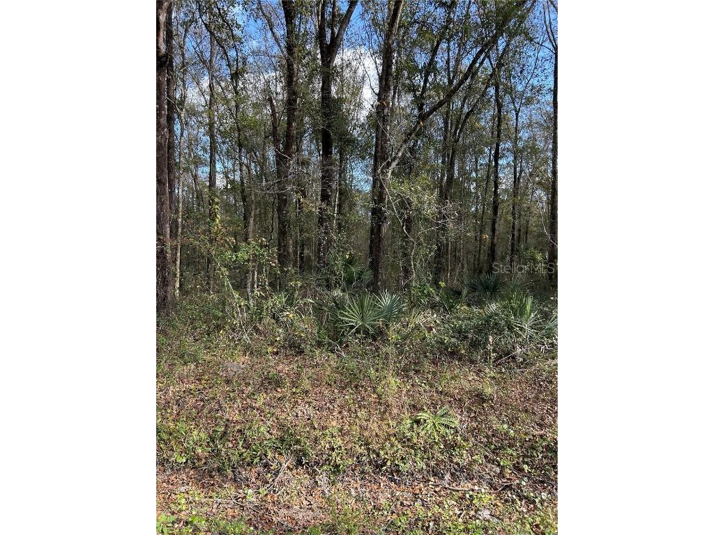 10040 Mcmahon Avenue Hastings FL 32145 FC314839 image7