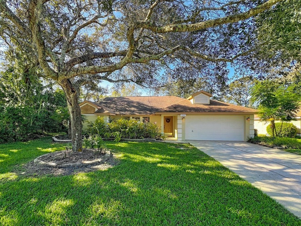 10040 Silver Bluff Drive Leesburg FL 34788 G5103803 image1