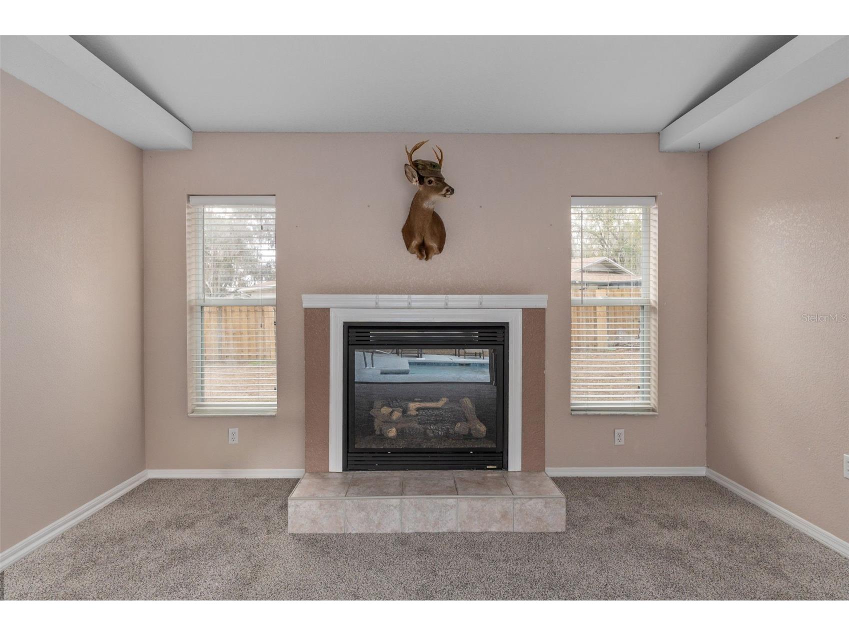 10041 Kimbrough Drive Brooksville FL 34601 W7883036 image28
