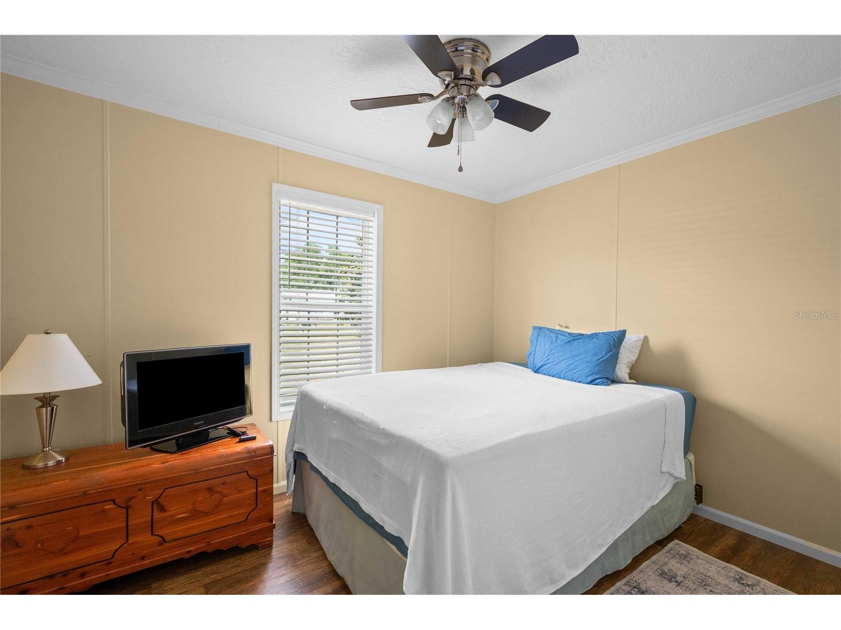 10042 Collingwood Avenue Dade City FL 33525 TB8504940 image22
