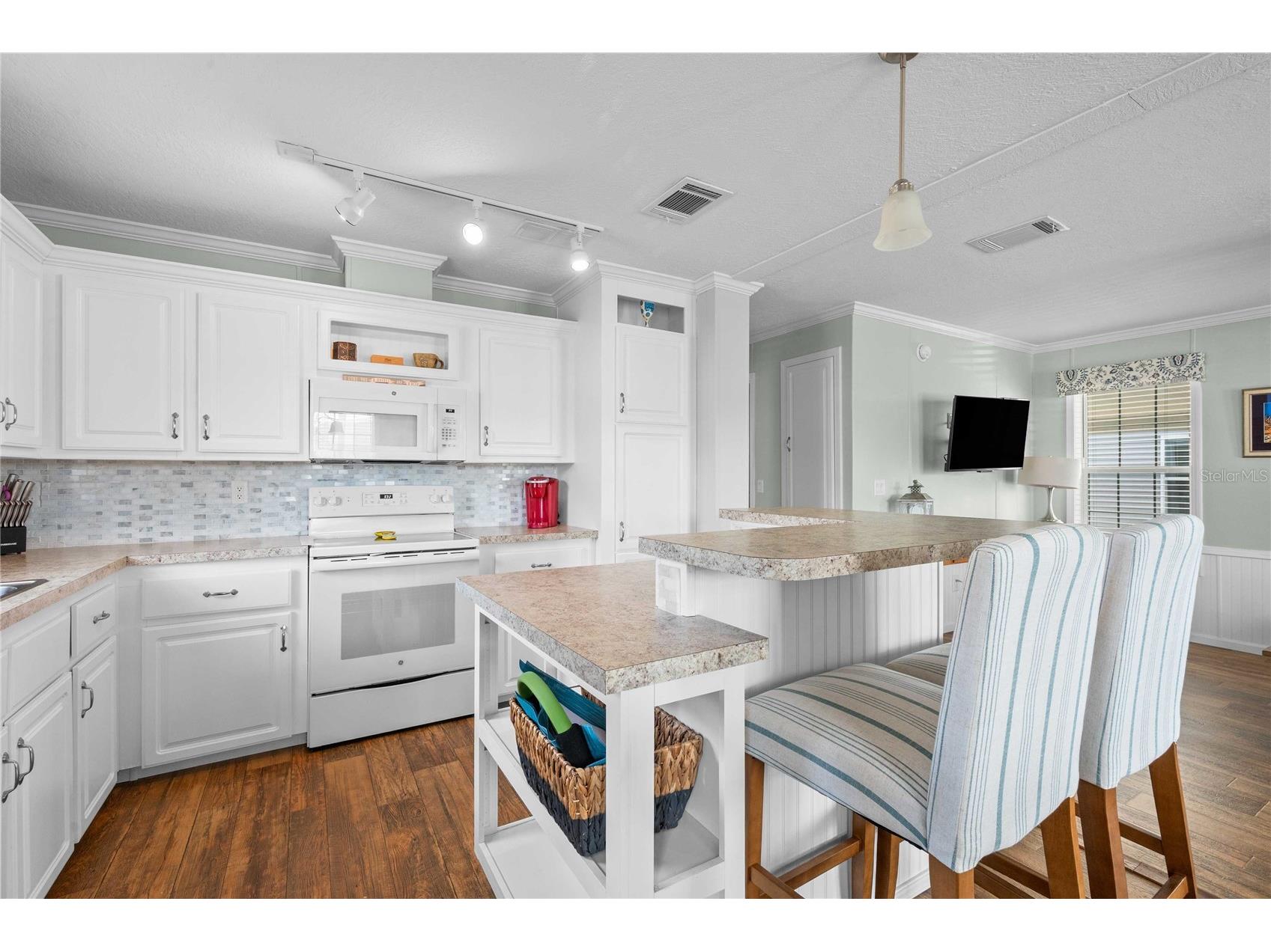 10042 Collingwood Avenue Dade City FL 33525 TB8504940 image9