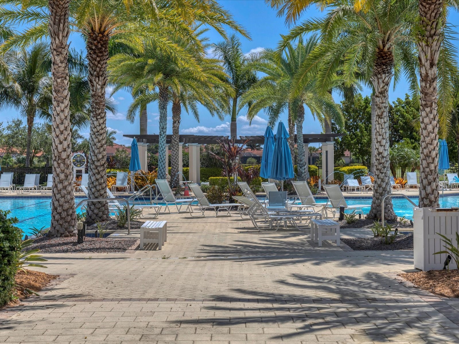 10042 Crooked Creek Drive #203 Venice FL 34293 A4660792 image48