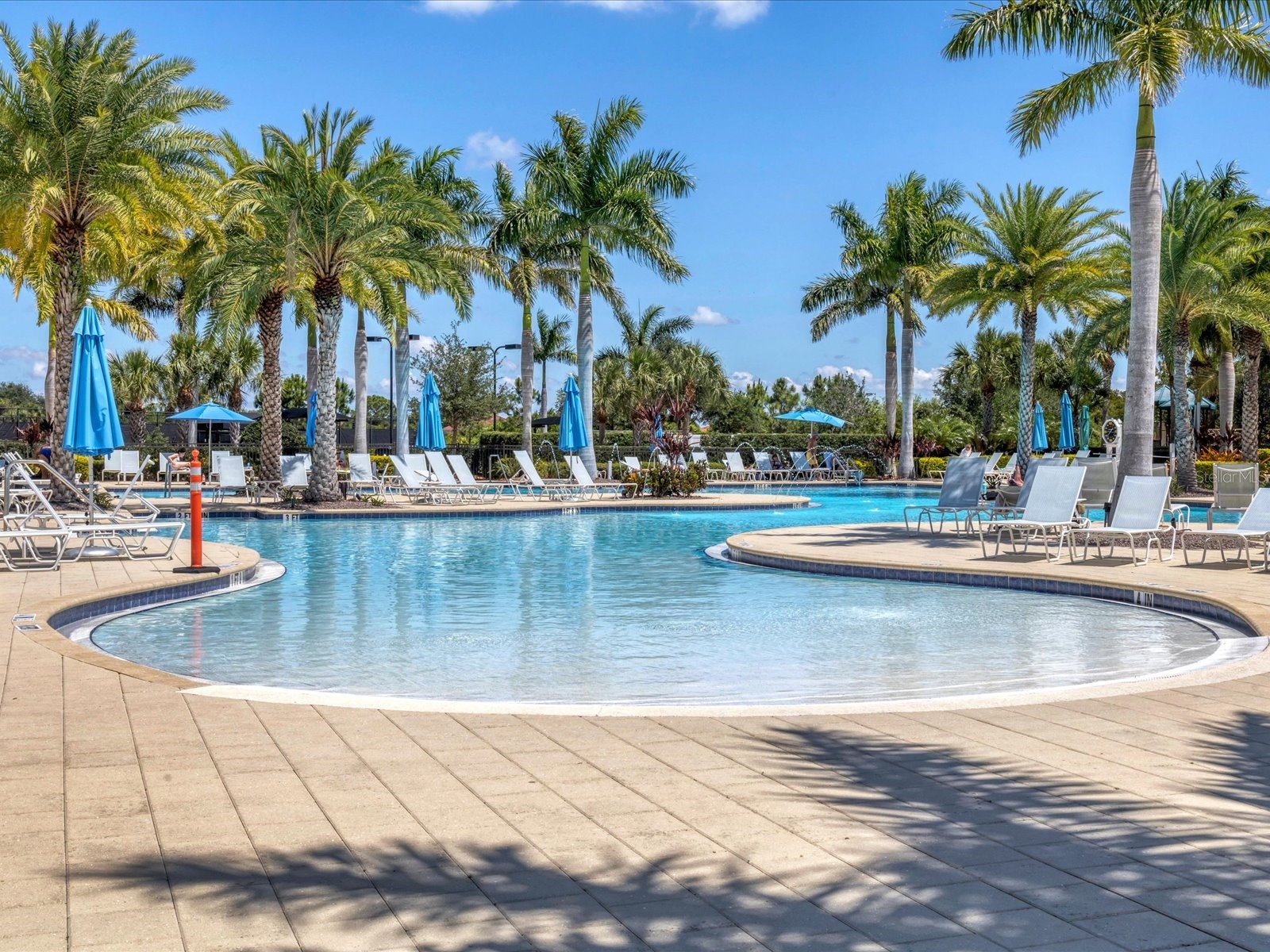10042 Crooked Creek Drive #203 Venice FL 34293 A4660792 image49