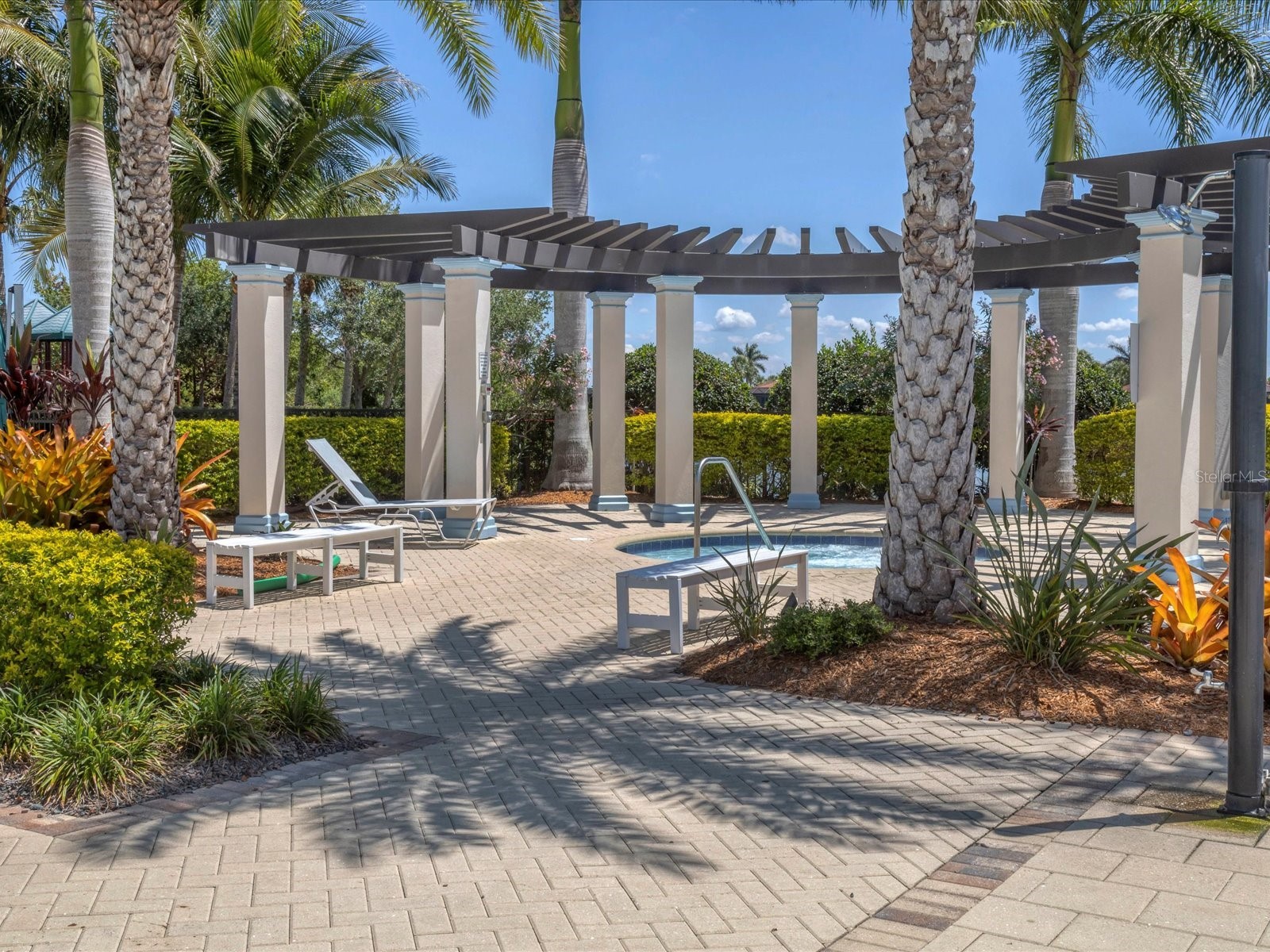 10042 Crooked Creek Drive #203 Venice FL 34293 A4660792 image51