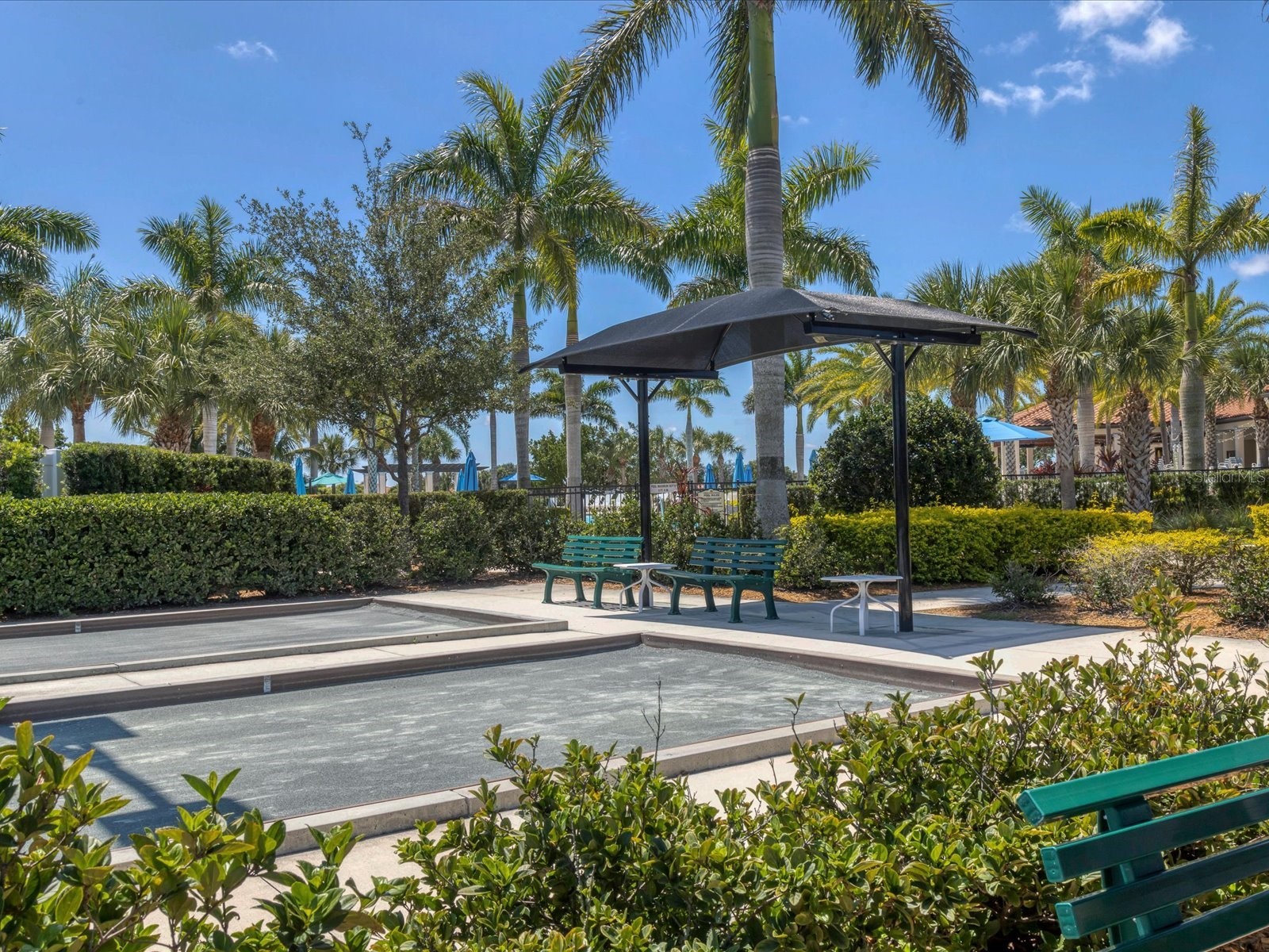 10042 Crooked Creek Drive #203 Venice FL 34293 A4660792 image55