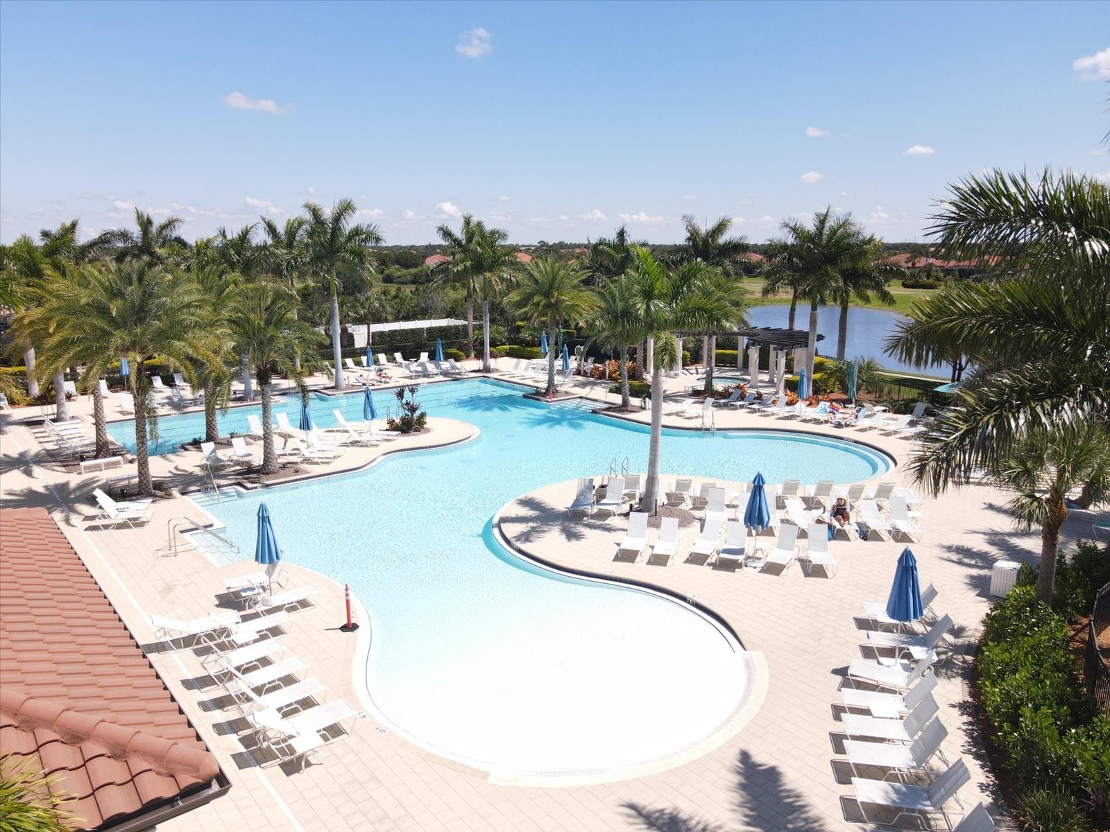 10042 Crooked Creek Drive #203 Venice FL 34293 A4660792 image58