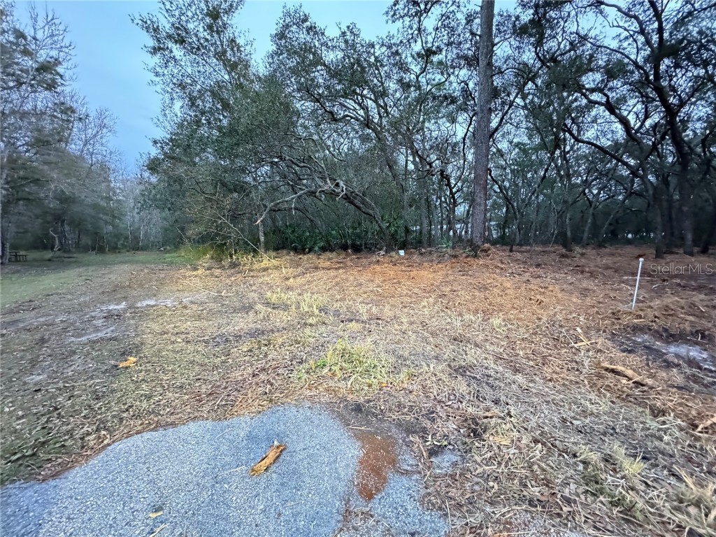 10042 Orland Street New Port Richey FL 34654 O6169217 image1