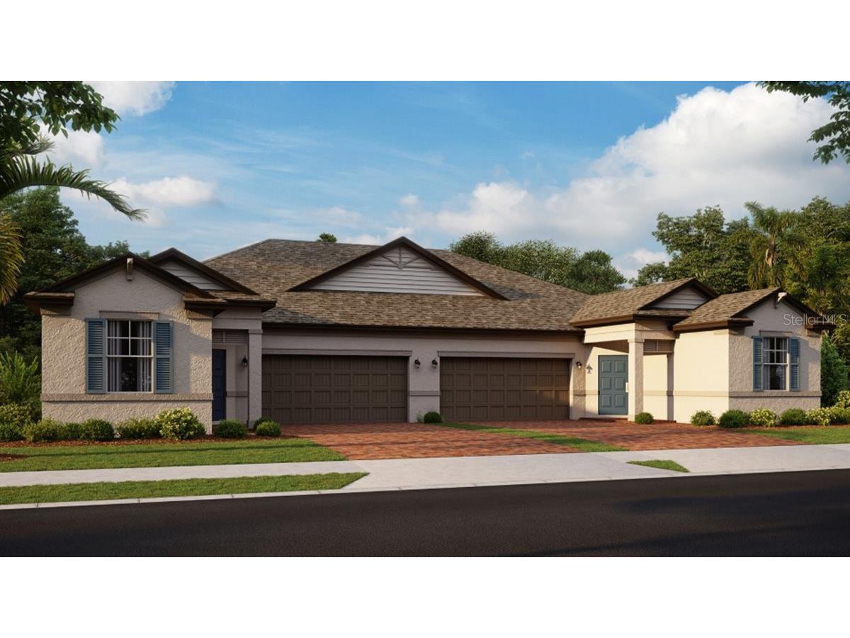 10043 Campanula Court Land O Lakes FL 34637 T3424881 image1