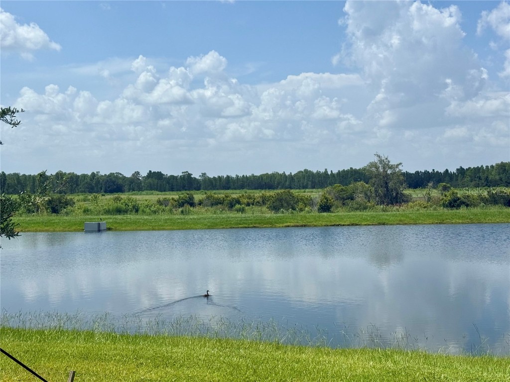 10043 Campanula Court Land O Lakes FL 34637 TB8411161 image11