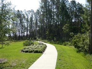 10043 Campanula Court Land O Lakes FL 34637 TB8411161 image20