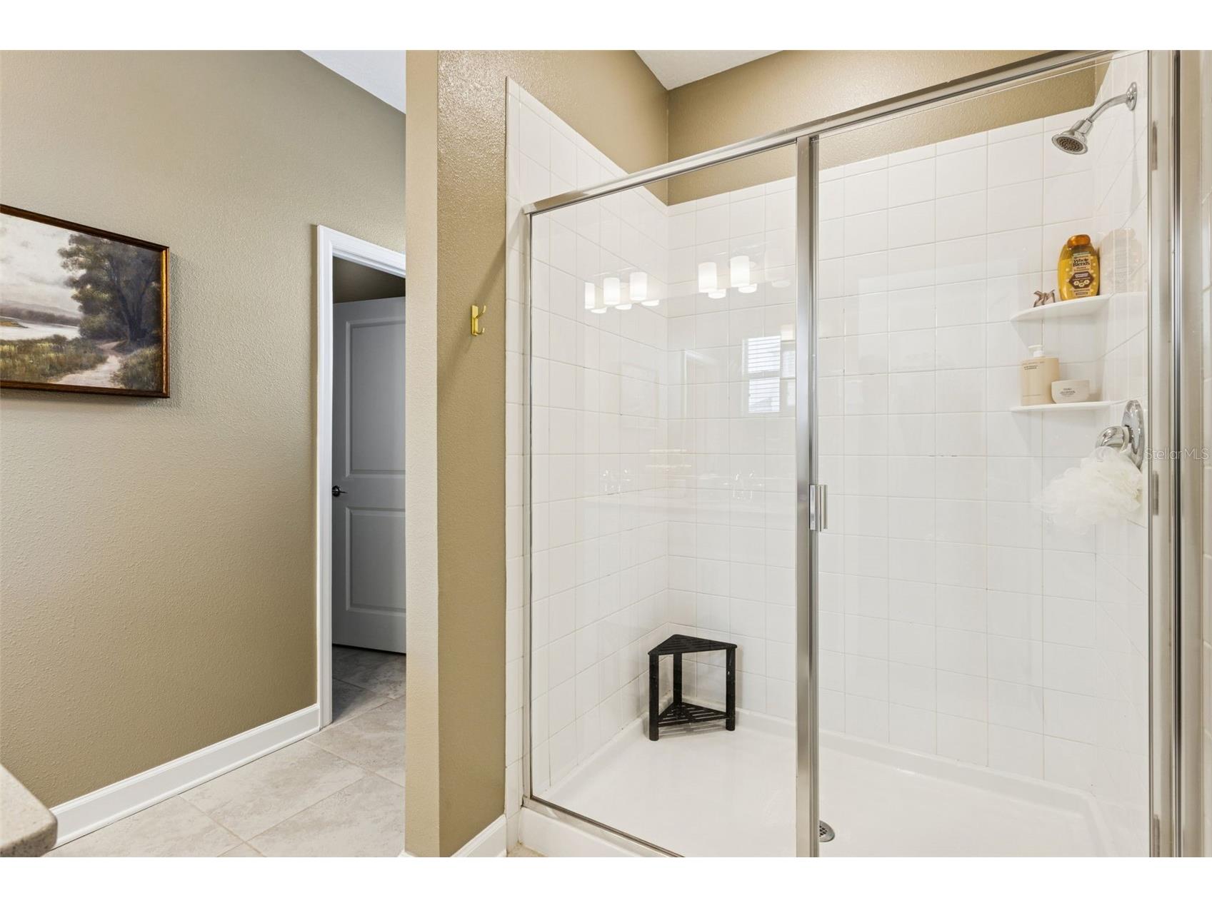 10043 Sequel Alley Winter Garden FL 34787 O6384246 image8