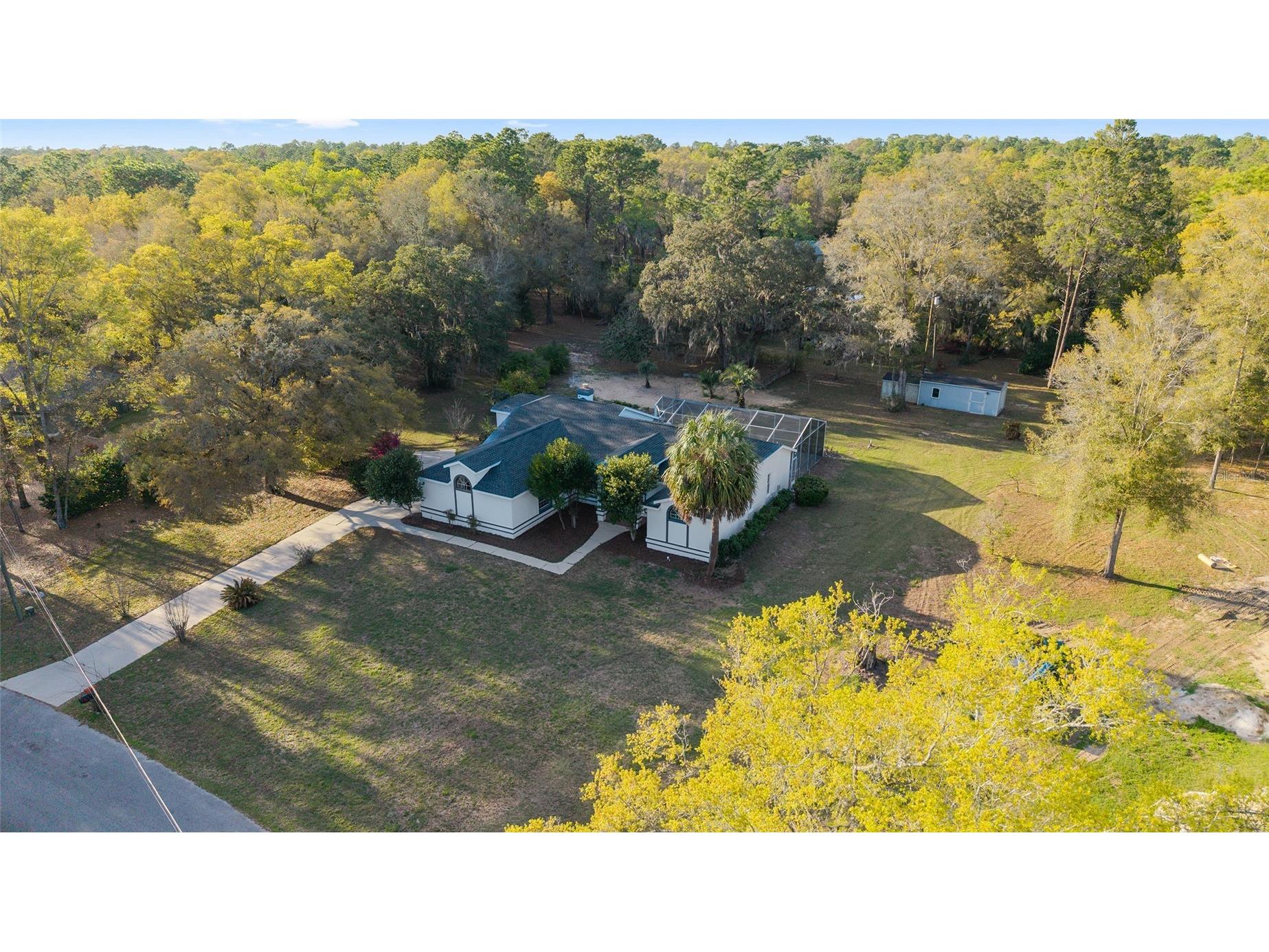 10043 SW 202nd Circle Dunnellon FL 34431 - RAINBOW RIVER OM720850 image51