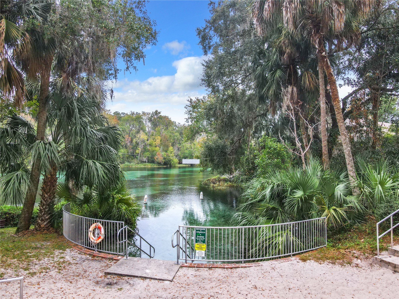 10043 SW 202nd Circle Dunnellon FL 34431 - RAINBOW RIVER OM720850 image62