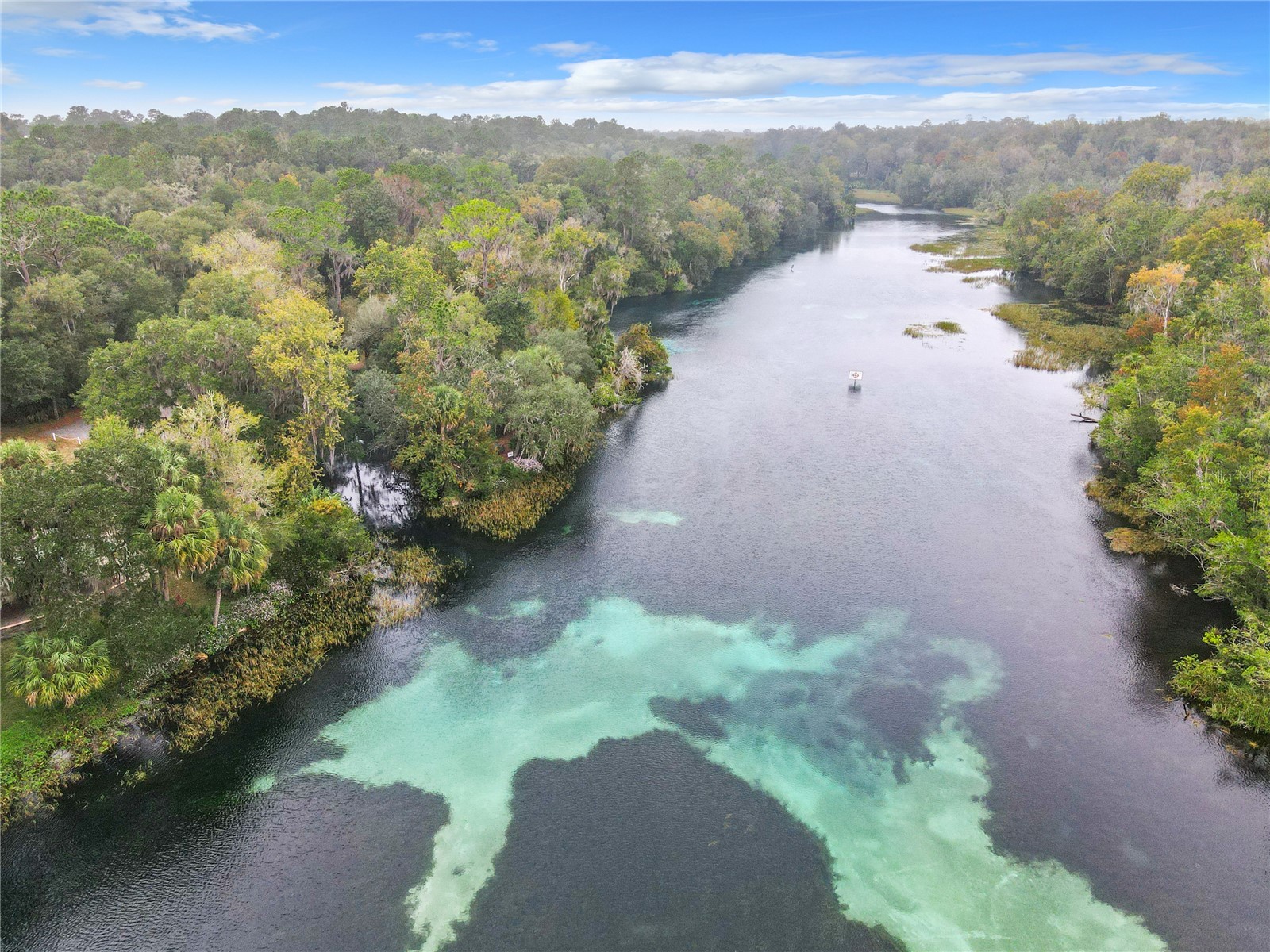 10043 SW 202nd Circle Dunnellon FL 34431 - RAINBOW RIVER OM720850 image64