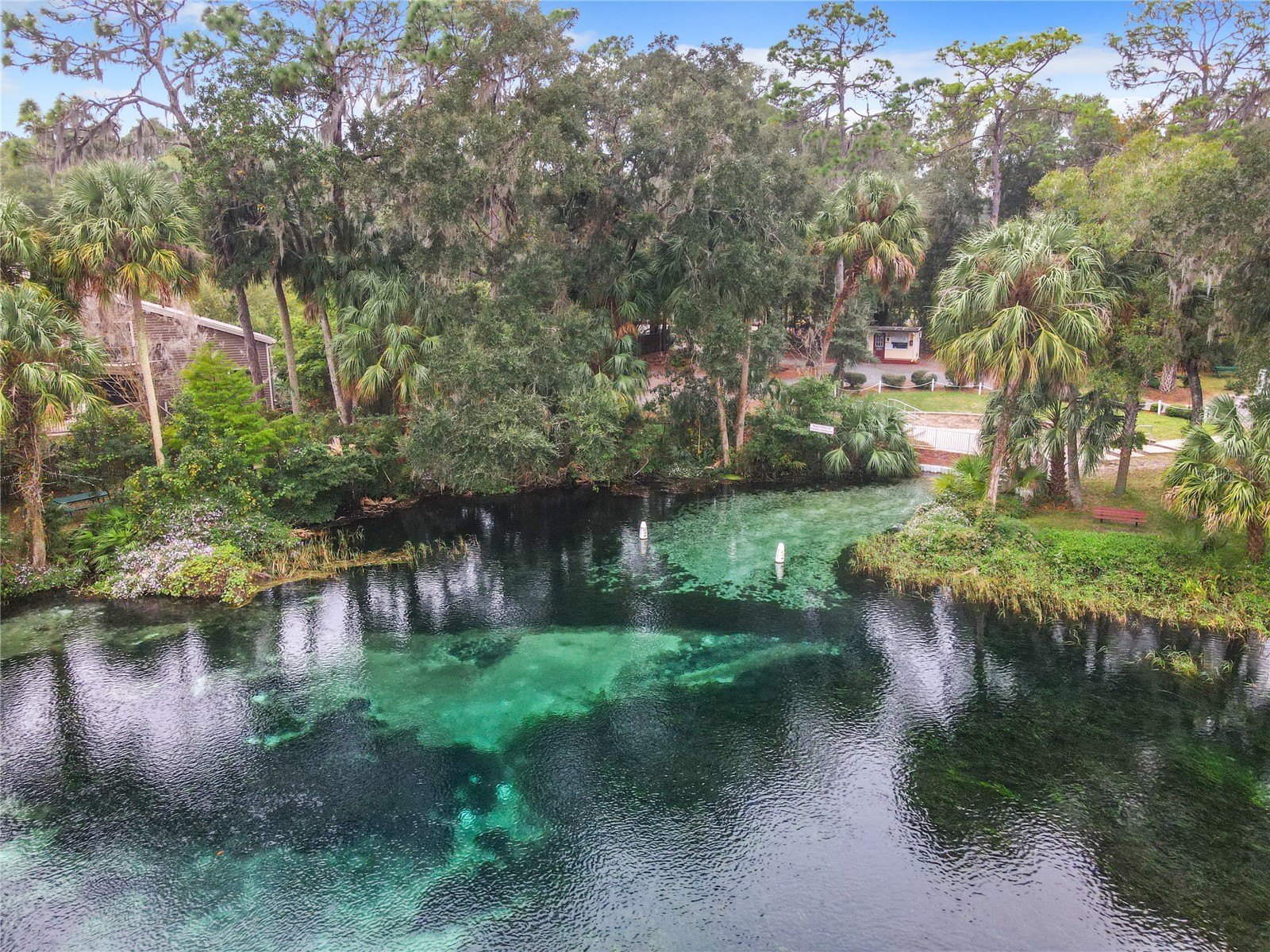 10043 SW 202nd Circle Dunnellon FL 34431 - RAINBOW RIVER OM720850 image66