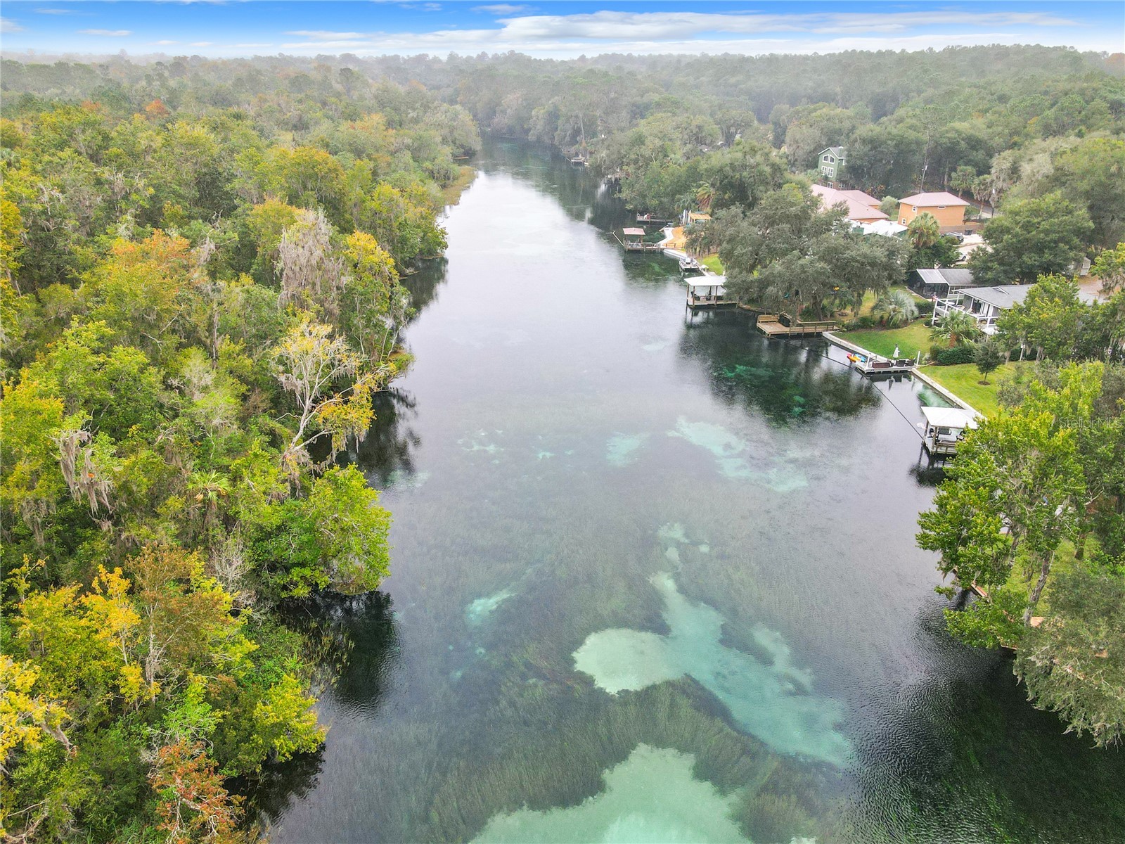 10043 SW 202nd Circle Dunnellon FL 34431 - RAINBOW RIVER OM720850 image67