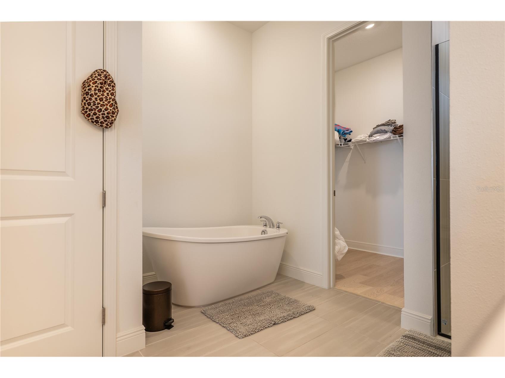 10044 Ballast Drive Orlando FL 32827 O6424560 image20
