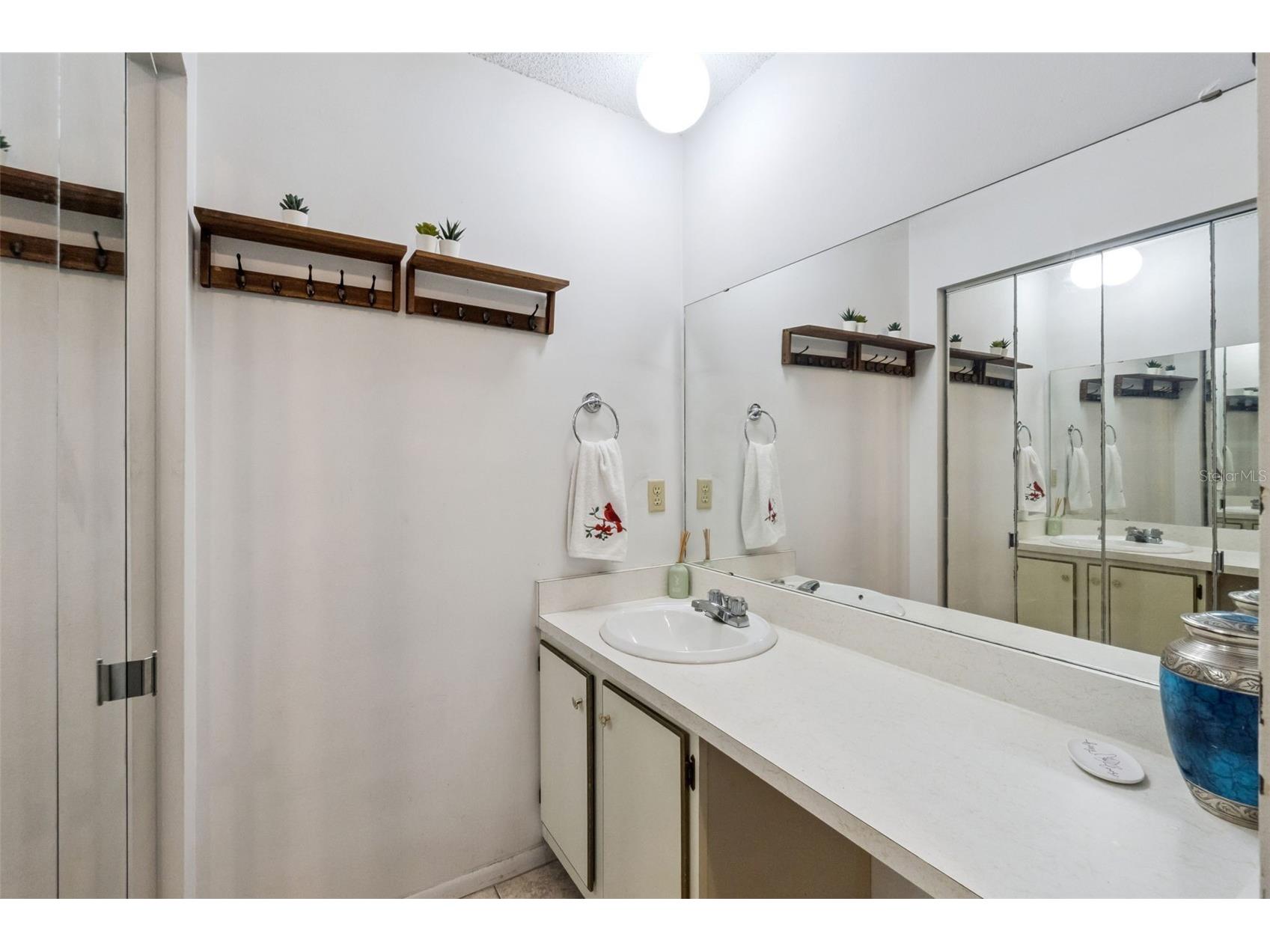 10044 Garrison Lane Orlando FL 32821 O6408307 image17