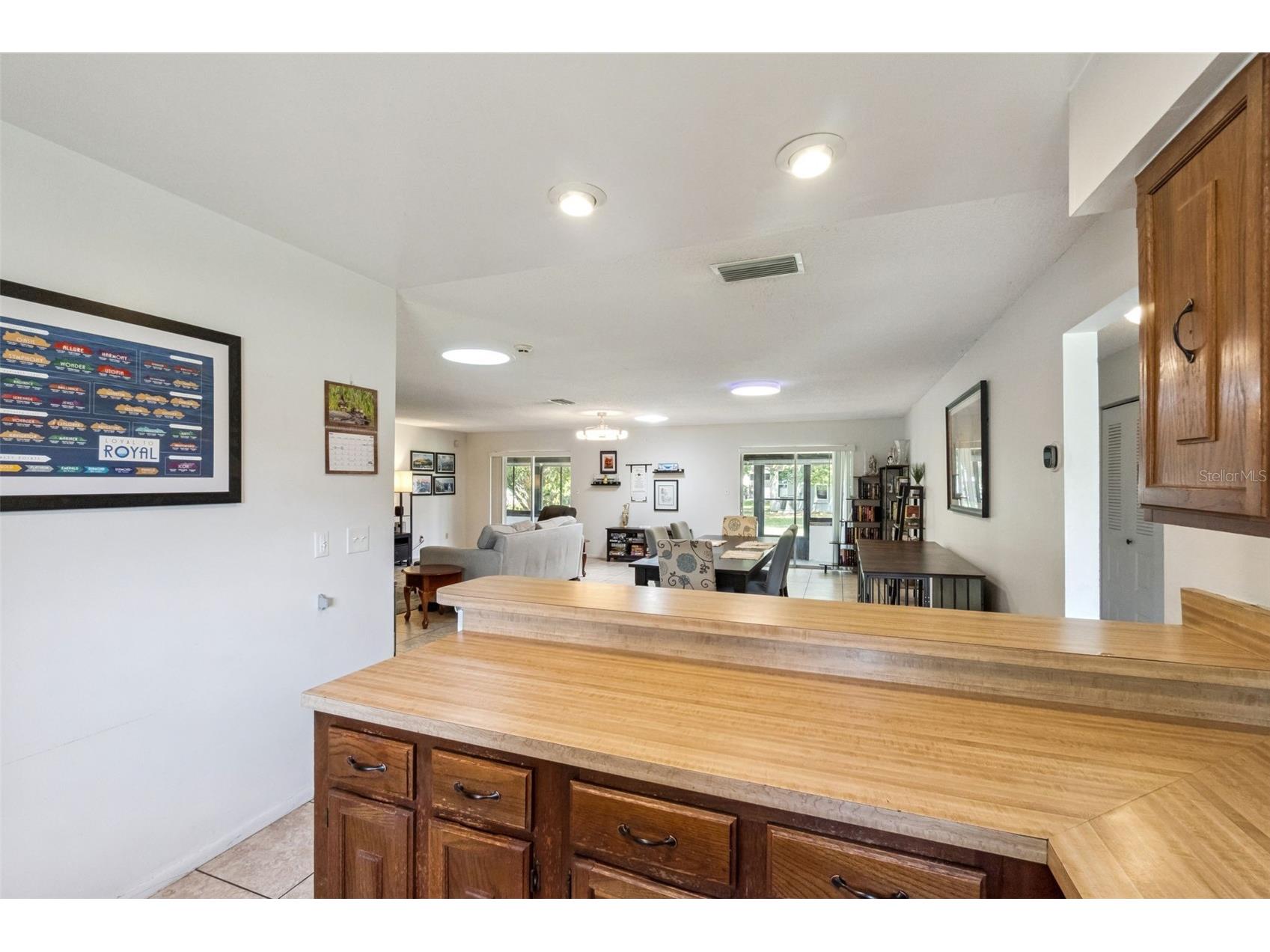 10044 Garrison Lane Orlando FL 32821 O6408307 image9
