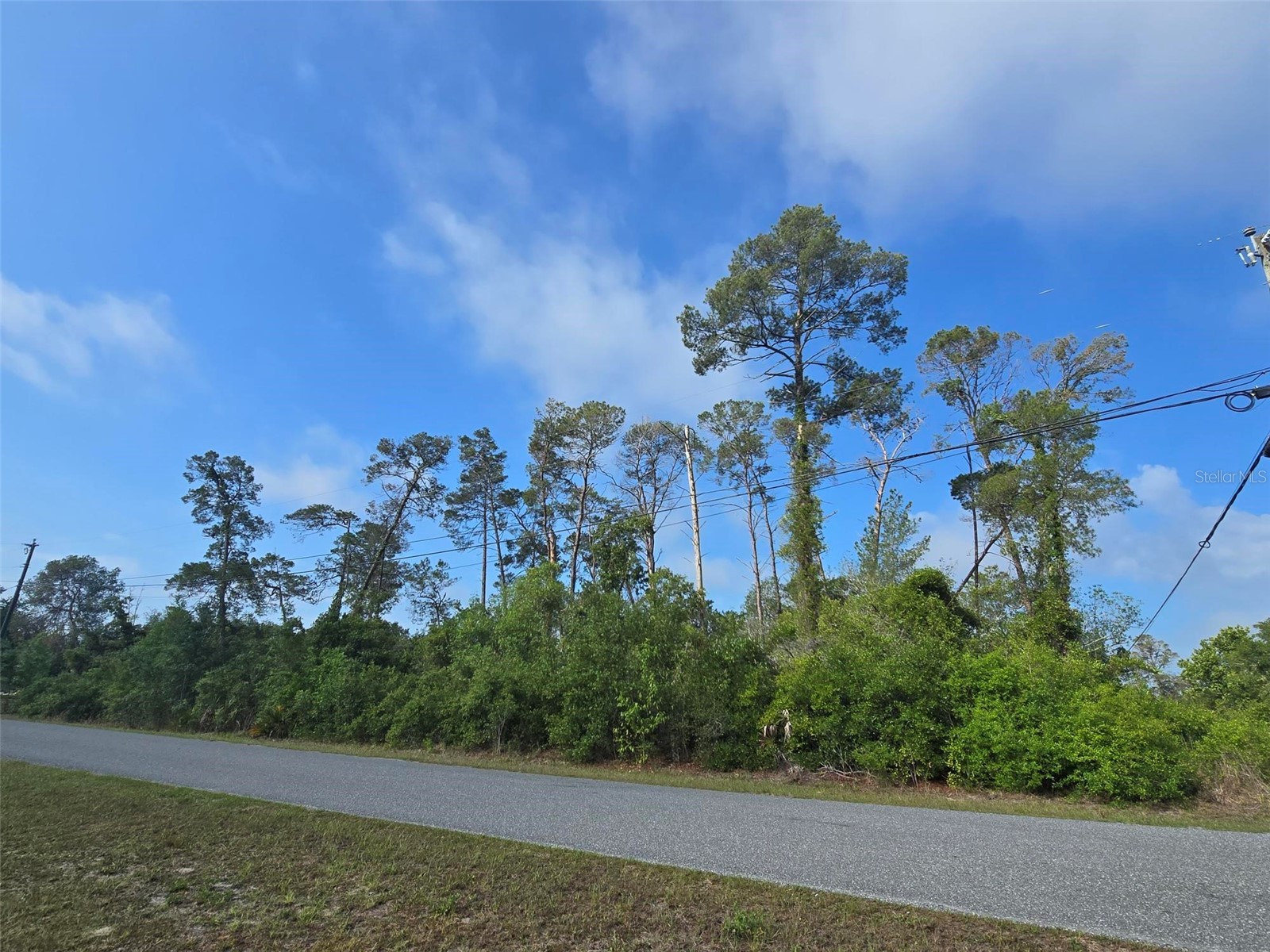 10044 Noddy Tern Road Weeki Wachee FL 34613 W7885723 image3