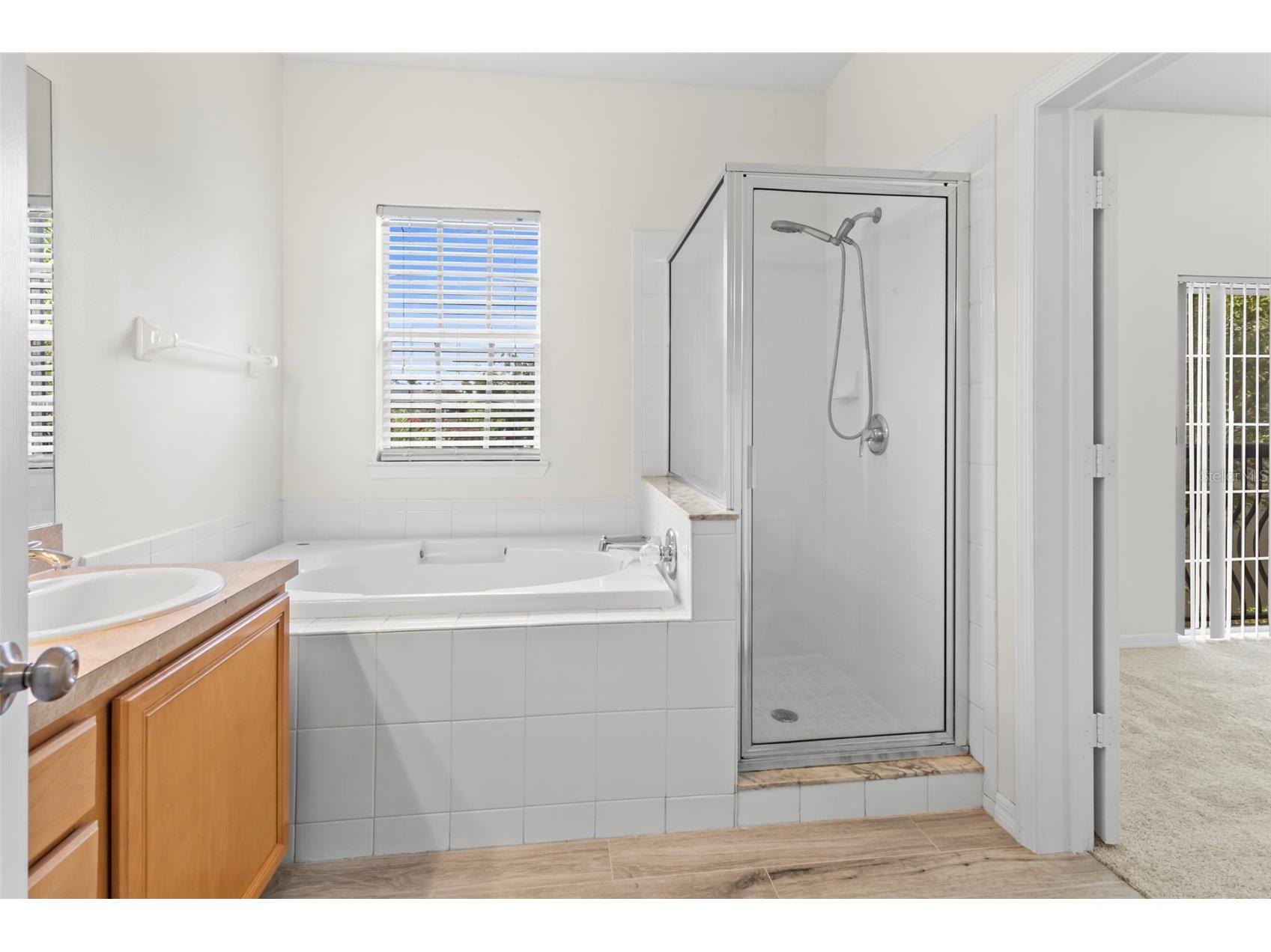 10044 Old Haven Way Tampa FL 33624 TB8525869 image18