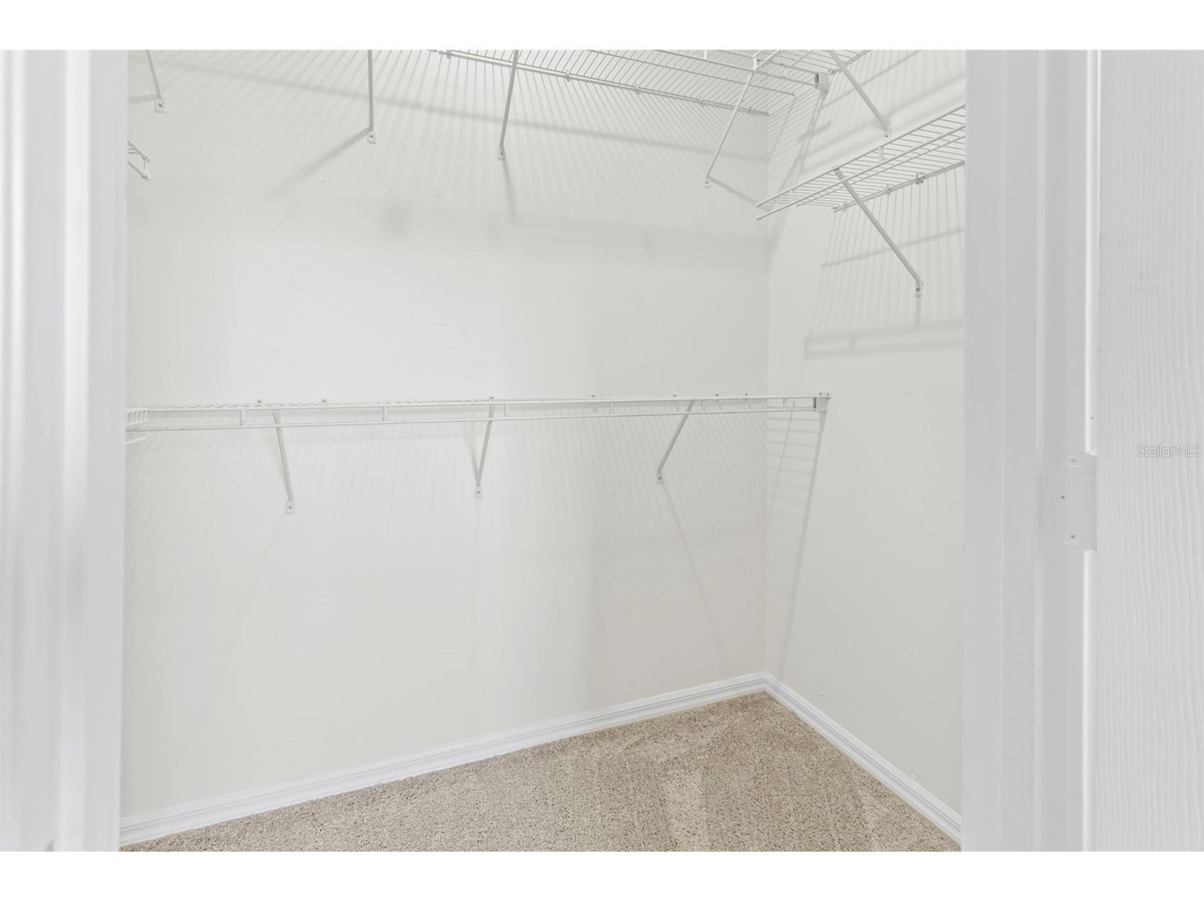 10044 Old Haven Way Tampa FL 33624 TB8525869 image19