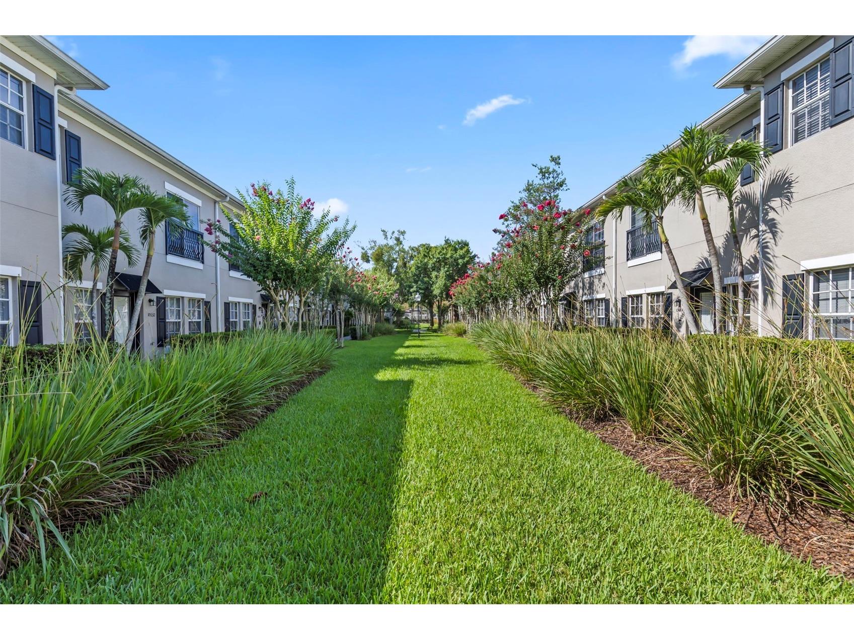 10044 Old Haven Way Tampa FL 33624 TB8525869 image27