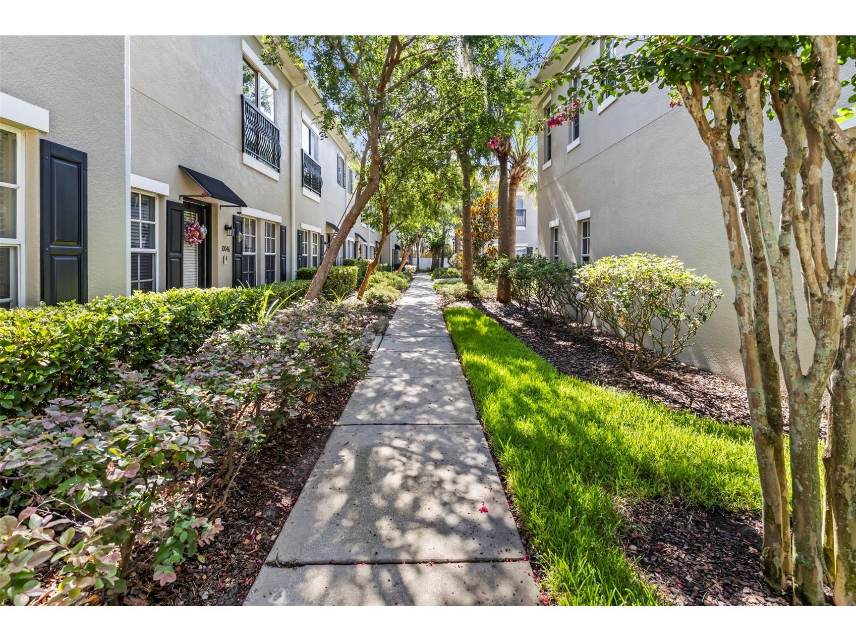 10044 Old Haven Way Tampa FL 33624 TB8525869 image4