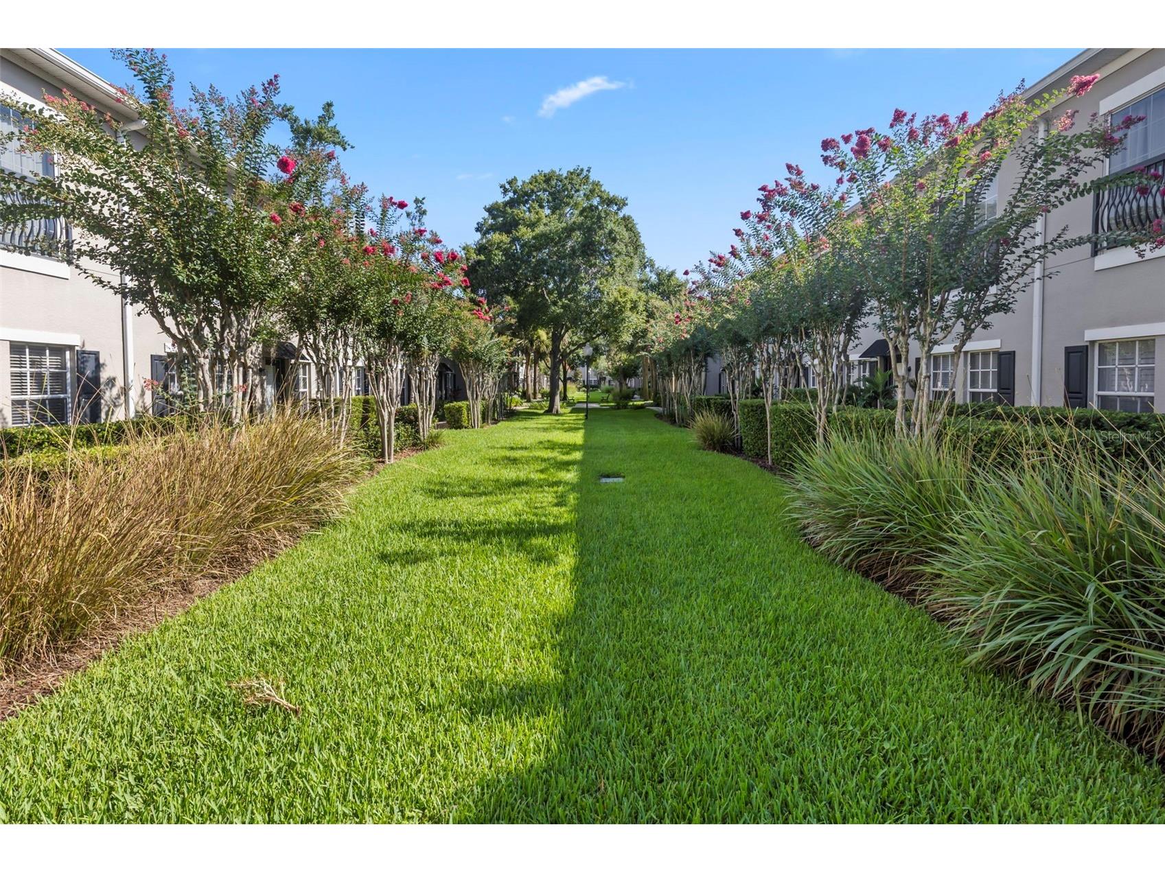 10044 Old Haven Way Tampa FL 33624 TB8525869 image5