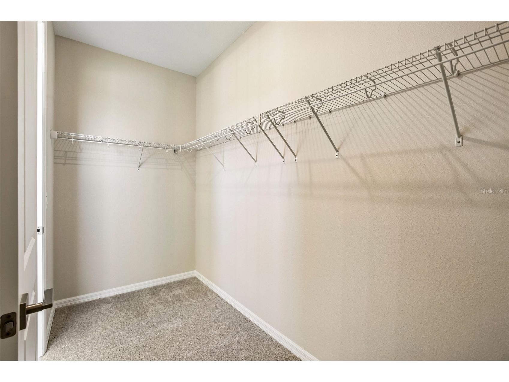 10045 Hidden Hammock Loop Parrish FL 34219 TB8473875 image33