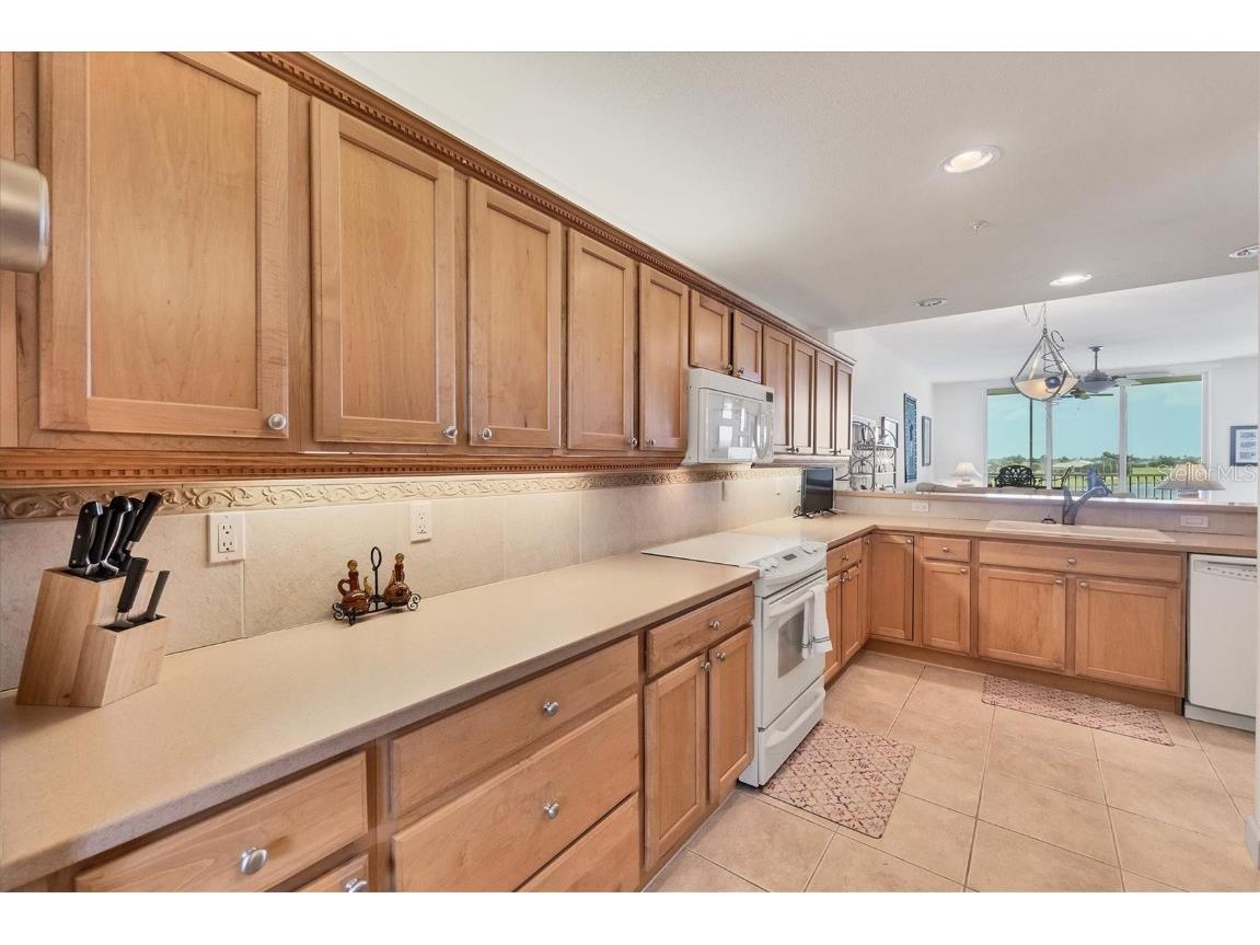 10045 Links Lane #304 Rotonda West FL 33947 D6143979 image19