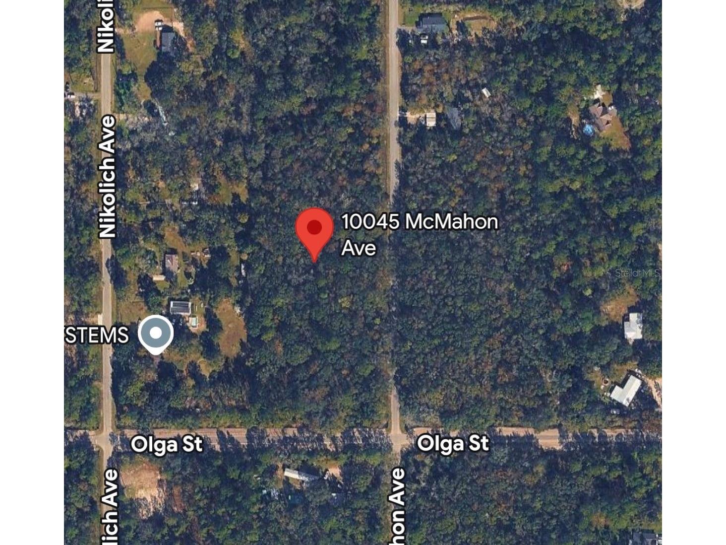 10045 Mcmahon Avenue Hastings FL 32145 A4699134 image1