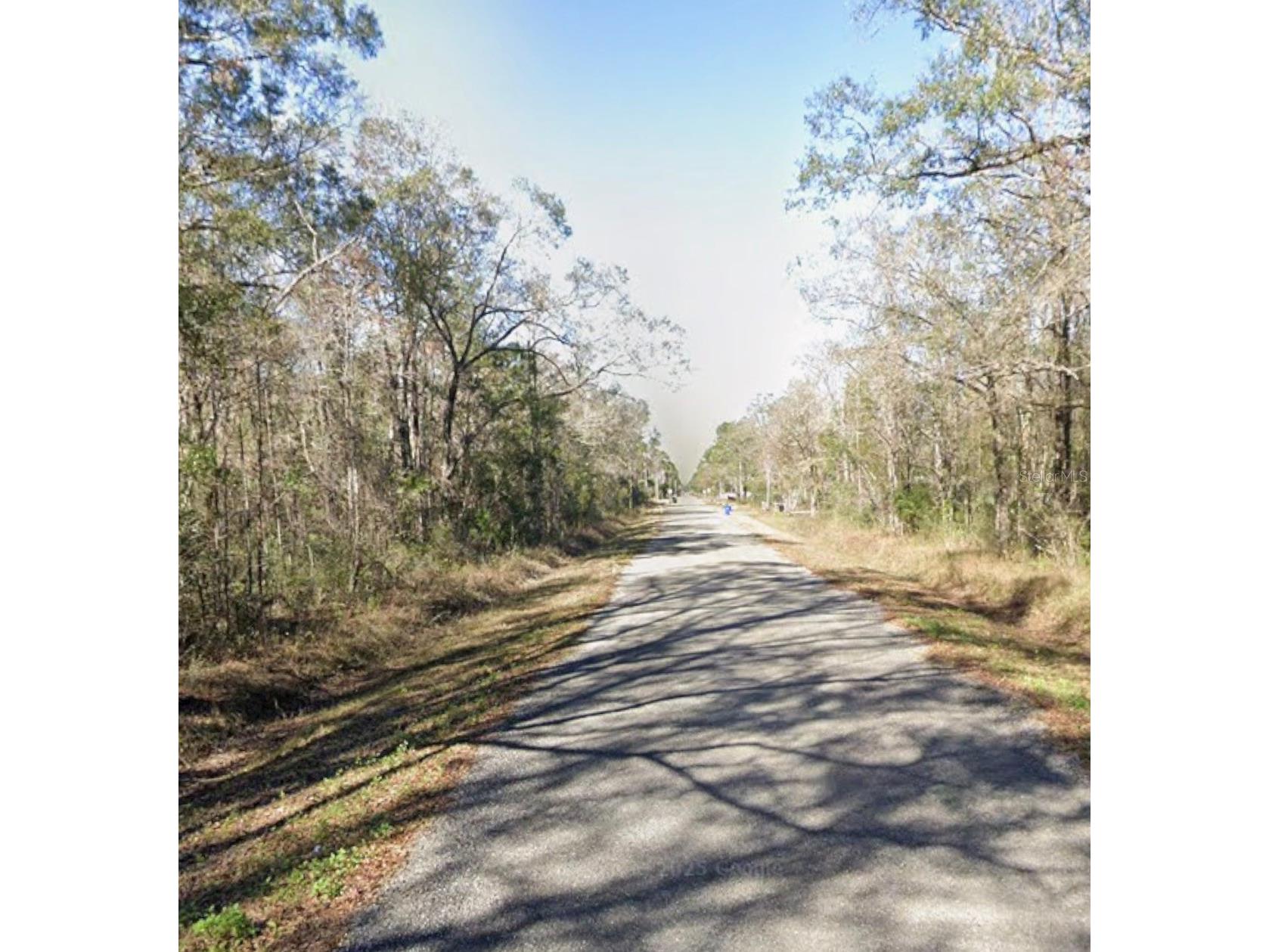 10045 Mcmahon Avenue Hastings FL 32145 A4699134 image2