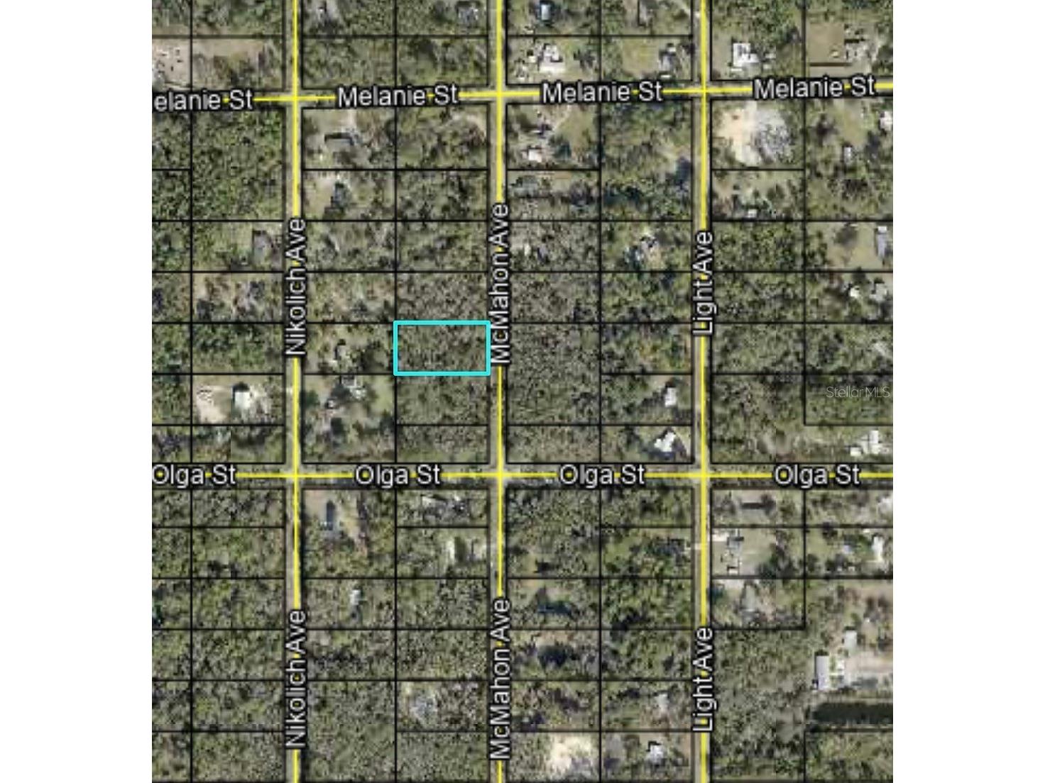 10045 Mcmahon Avenue Hastings FL 32145 A4699134 image5