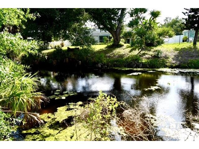 10046 Charlemont Avenue Englewood FL 34224 - MARCH WATERWAY C7526213 image43