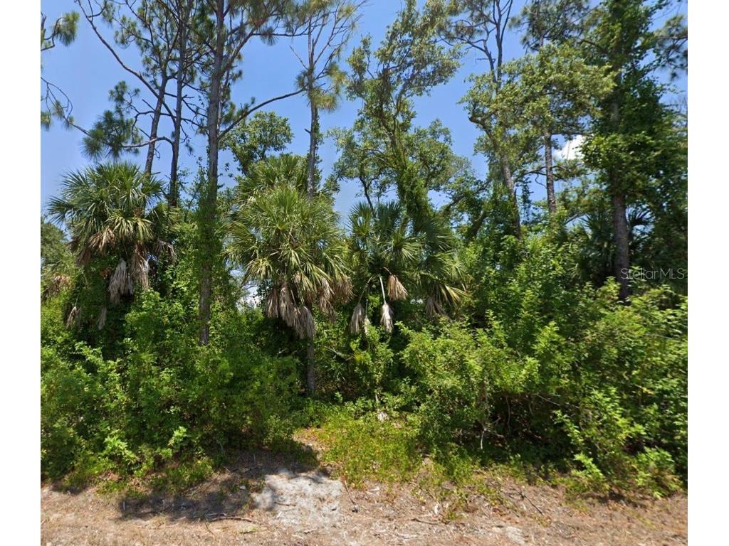 10046 Flat River Street Port Charlotte FL 33981 C7515609 image1