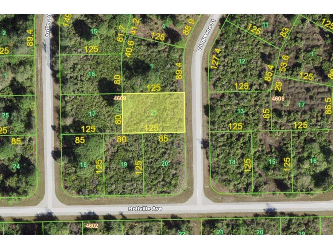 10047 Duquesne Street Port Charlotte FL 33981 A4496213 image1