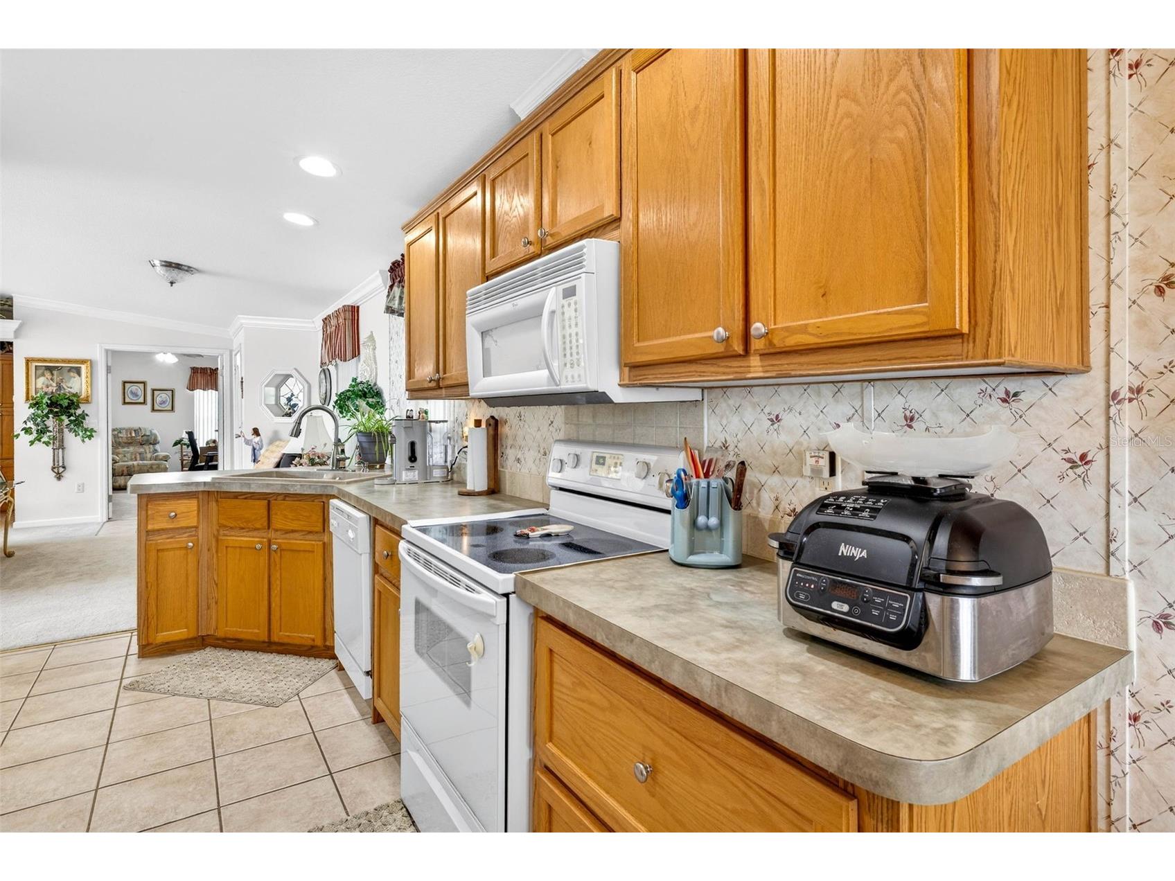 10047 Equity Avenue Dade City FL 33525 TB8463429 image11