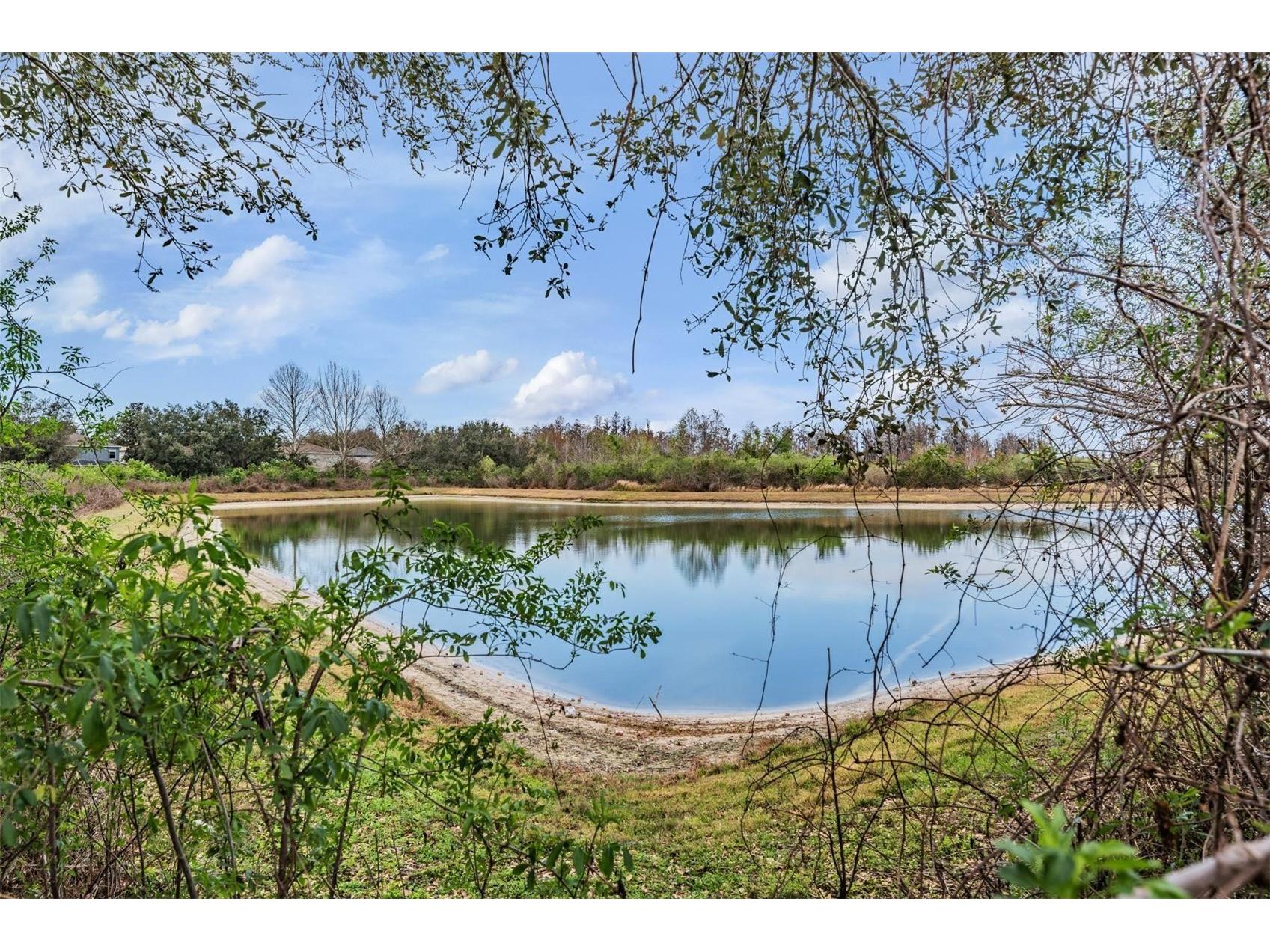 10047 Landport Way Land O Lakes FL 34638 TB8480744 image27