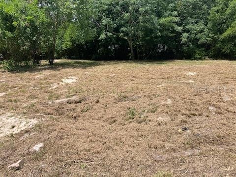 10047 Poplar Street New Port Richey FL 34654 W7864979 image1